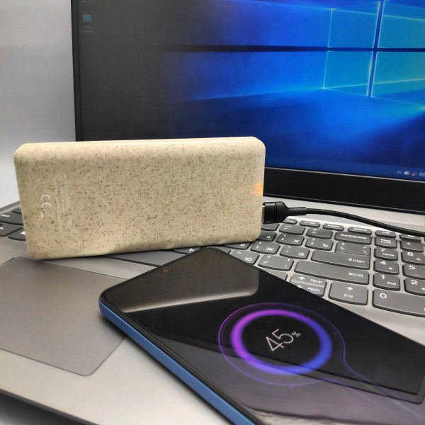 Портативное зарядное устройство Power Bank 10000 mAh / Micro, Type C, USB-выход